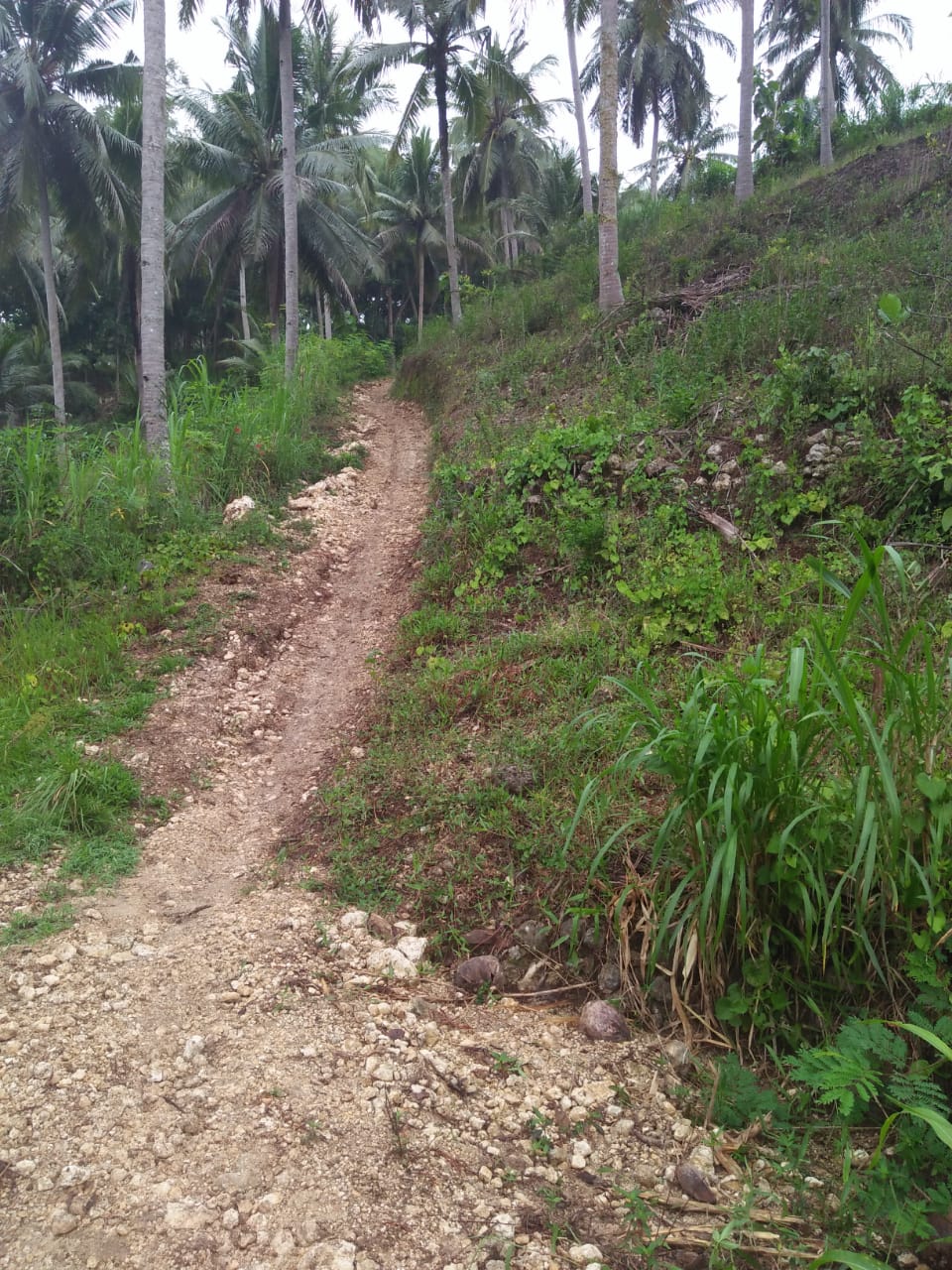 Pembukaan Jalan Di Dusun Kedunggajul