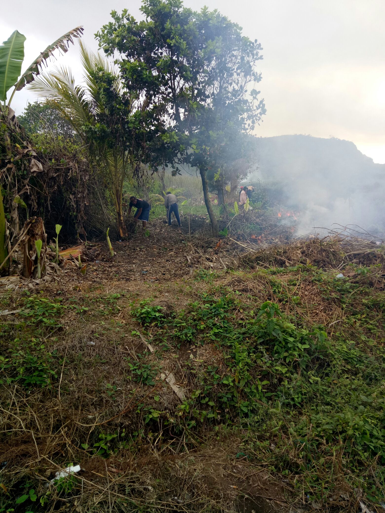Pembersihan Jalan Wisata Pantai Pasur Desa Bululawang kecamatan Bakung Kabupaten Blitar