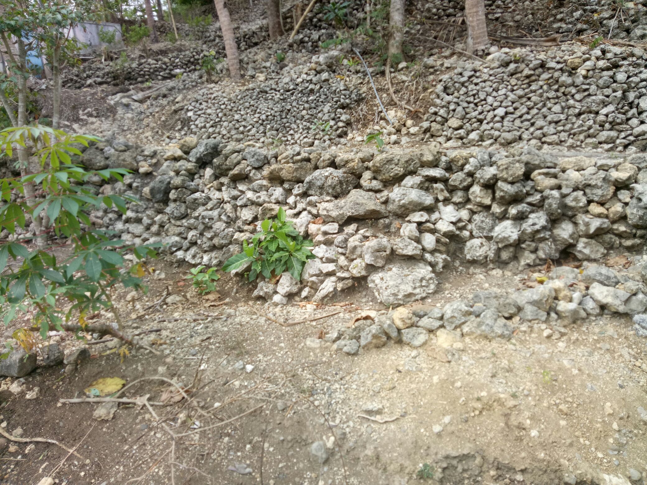 Kegiatan 2019