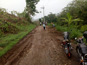 Kegiatan Kerja Bhakti Pembersihan Jalan Menuju Pantai Pasur Desa Bululawang