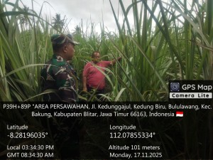 Babinsa Desa Bululawang Tinjau Calon Lokasi Kios KDMP