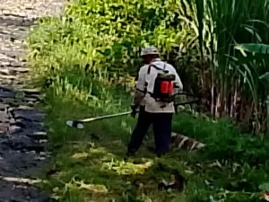 Warga Dusun Kedungbiru Bersihkan Jalan Lingkar Sambut Ramadan 2026