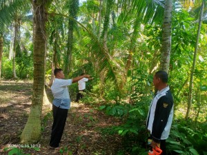 Pendamping Desa Kecamatan Bakung Lakukan Kunjungan Kerja dan Pendampingan di Desa Bululawang Kabupat